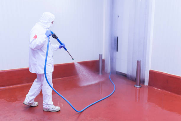 Reliable Ester, AK Pressure Washing Services Solutions